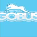Obrazek użytkownika gobus1