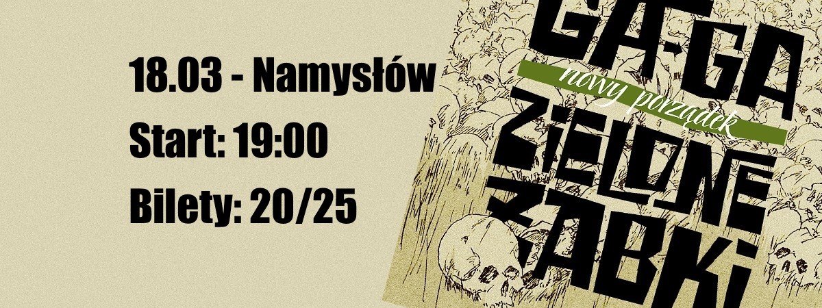 Koncert punkowy w Namysłowie