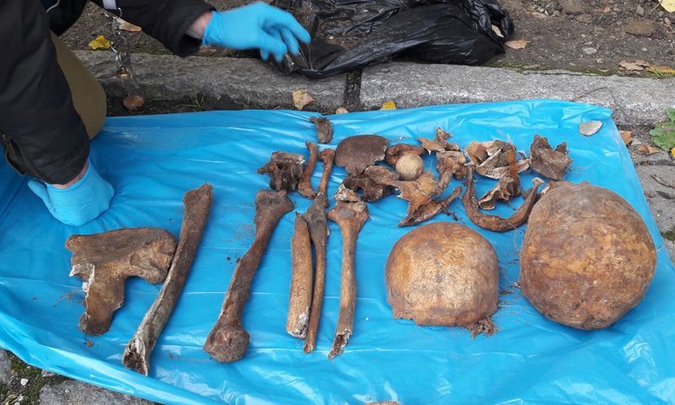 Budowlańcy w Namysłowie wykopali ludzkie szczątki