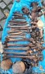 Kości długie, czaszki i inne szczątki ludzkie