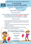 Mistrzostwa Szkół Podstawowych Gminy Wilków